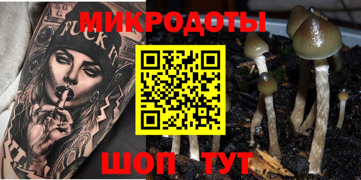 Ангарск  Псилоцибиновые грибы Psilocybe  Вход с VPN 